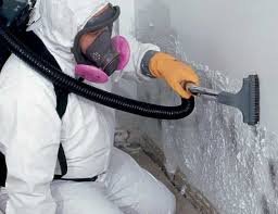 Environmental Consulting for Mold Prevention in Fetters Hot Springs Agua Caliente, CA